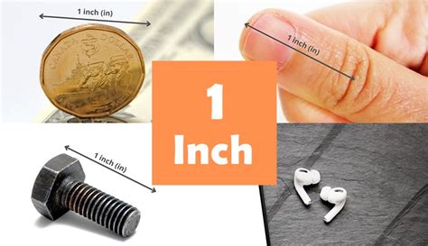12 Things That Are About 1 Inch In Long