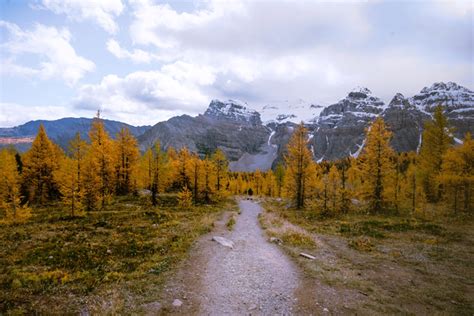 Larch Valley Trail Hike Everything You Need To Know