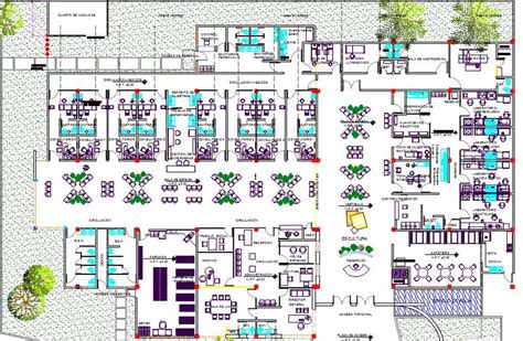 Hospital Layout Plan Autocad Drawing With Furniture Design Dwg File