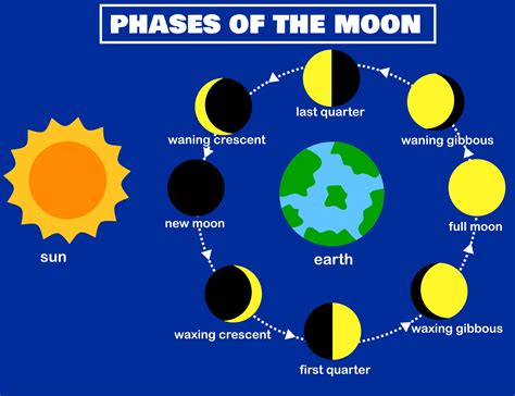 Fases De La Lunafase Lunartierra Y Solluna El Cambio Del Ciclo Lunar