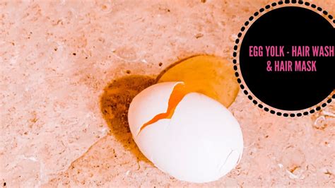 The yolk is especially helpful for dry, damaged hair and when used alone or with other ingredients, the treatment will give you. Egg yolk to wash hair - egg yolk & olive oil hair mask ...