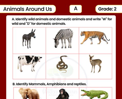 Class 2 Evs Worksheets On Animals Around Us With Answers