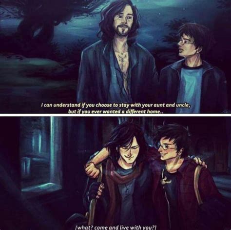 Sirius Black And Harry Potter