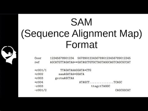 Understanding SAM BAM File Specifications YouTube