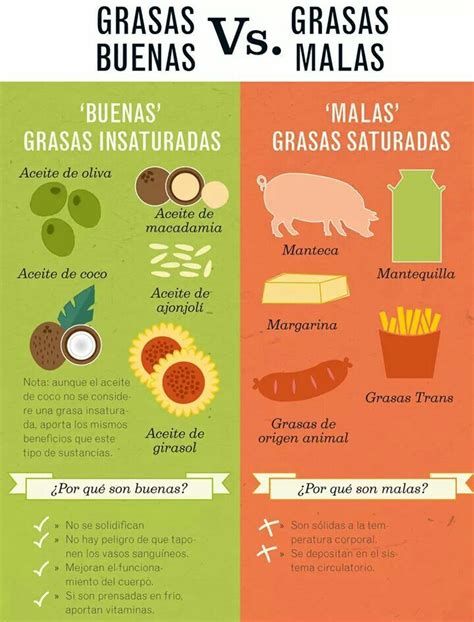 Grasas buenas vs Grasas malas Consejos de nutrición Nutricion y