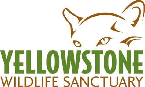 Yellowstone Wildlife Sanctuary Red Lodge 2018 All You Need To Know