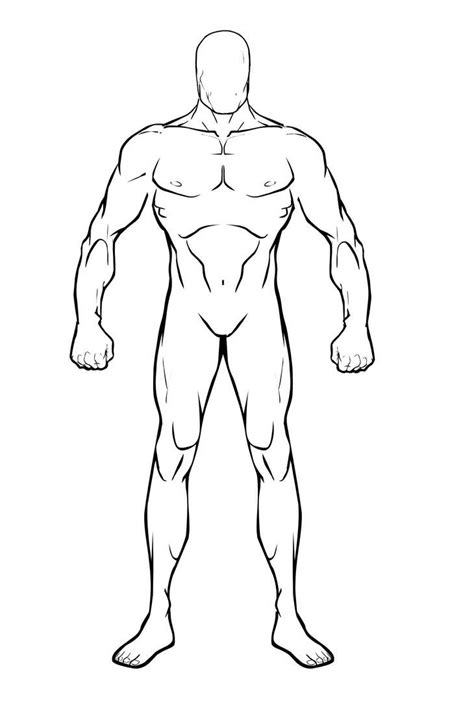 Base Male Body Reference Drawing Male Body Base How To Draw Body
