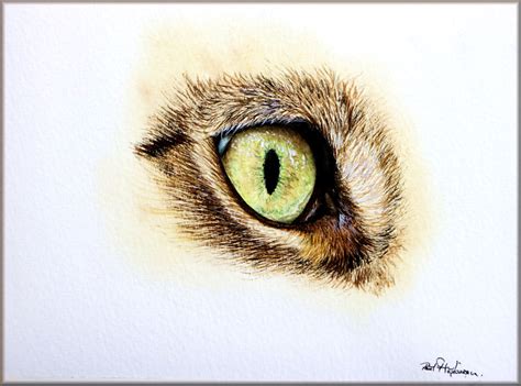 Free Tutorial Cats Eye Paint Along The Devon Artist
