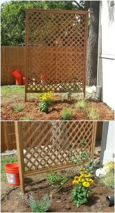 Easy Diy Trellis Ideas To Add Charm And Functionality To Your Garden