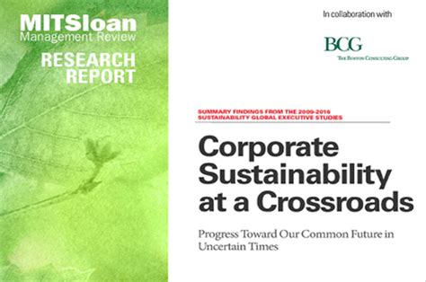 Corporate Sustainability At A Crossroads Csr Universal Seglobal