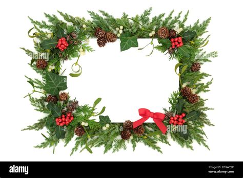 Traditional Winter Solstice Christmas And New Year Greenery Border With