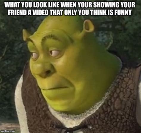 Shrek Funny With Captions Cool Attitude Captions