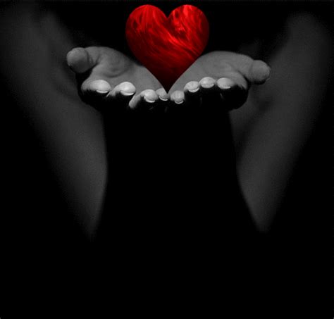 See more ideas about beautiful heart, love gif, heart gif. red heart coeur rouge cinemagraph Image, animated GIF