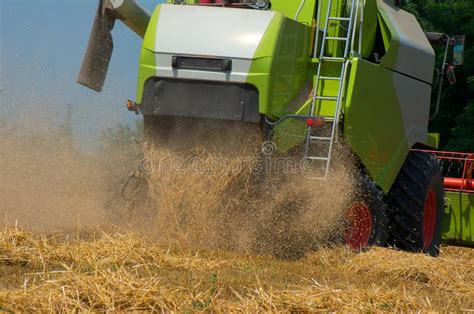 Combine Harvester Harvesting Of Wheat Reaper Reaps Crops At Harvest