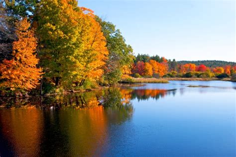 8 Unique Ways To See Fall Foliage In New Hampshire