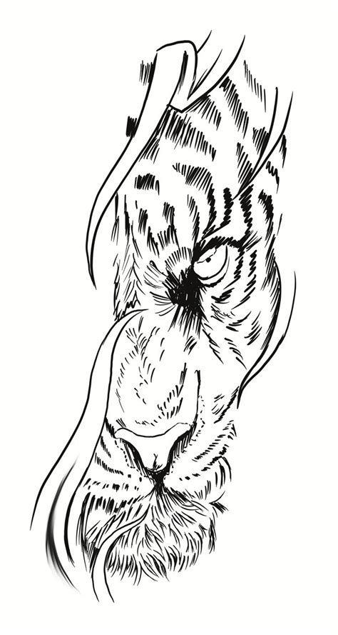 A Black And White Drawing Of A Tiger S Face