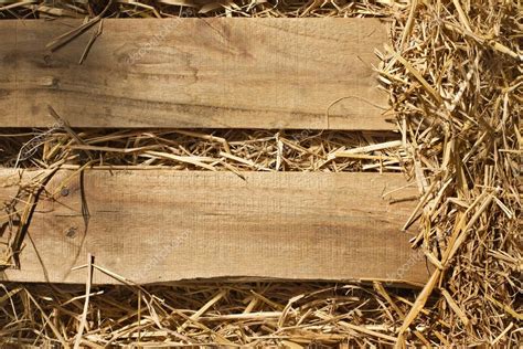 Vintage Background Of Wood Plank And Dry Grass Hay Straw Textu Stock