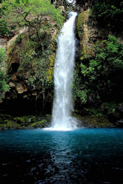 Waterfall In Rincon De La Vieja National Park Costa Rica National