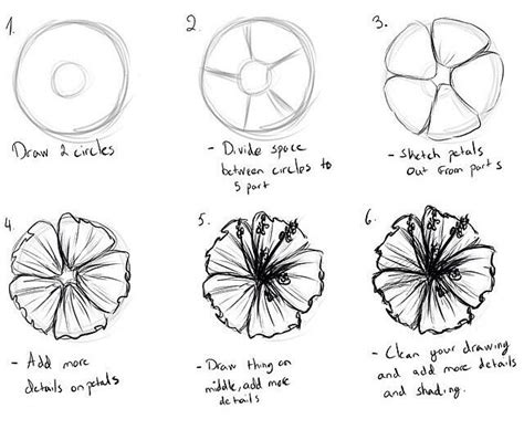 How To Draw A Tropical Flower Step By Step At Drawing Tutorials