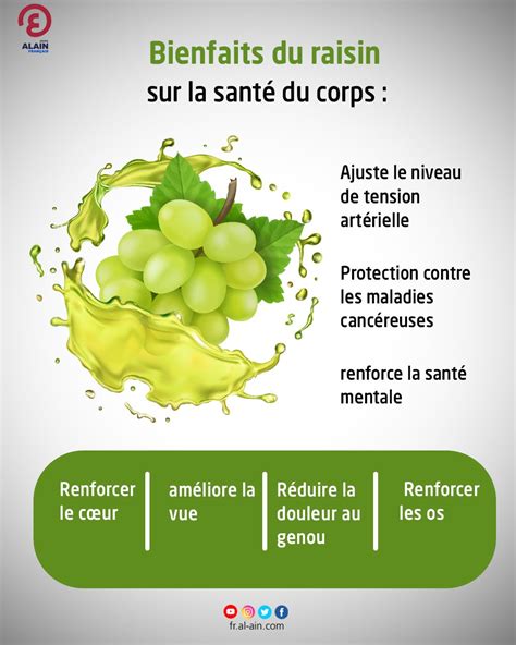 Bienfaits Du Raisin Sur La Santé Du Corp