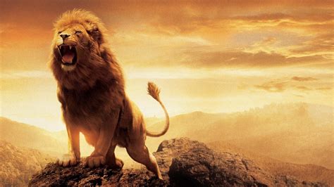 Free Download 69 Roaring Lion Wallpapers On Wallpaperplay
