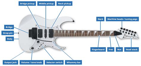 On this guitar in the diagram, the pickup is. Names of the Parts of a Guitar - IGDb.co.uk