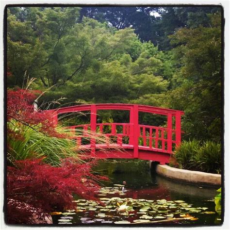 New Hanover County Arboretum In Wilmington Nc Photo By A Davis