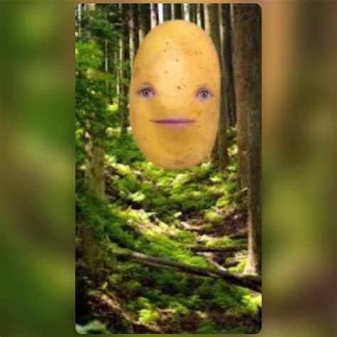 Talking Potato Lens By Lavish Jassal👑 Snapchat Lenses And Filters