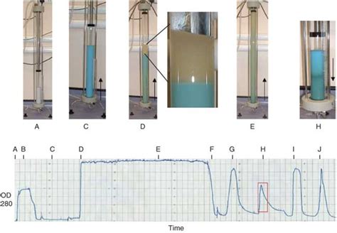 Expanded Bed Adsorption Immobilized Metal Affinity Chromatography