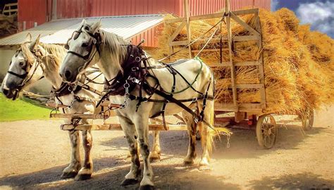 The Hay Wagon Photograph By Timothy Boeh Pixels