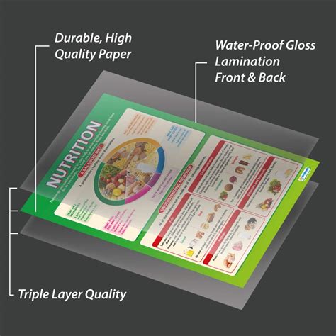 Nutrition Pshe Posters Laminated Gloss Paper Measuring 850mm X