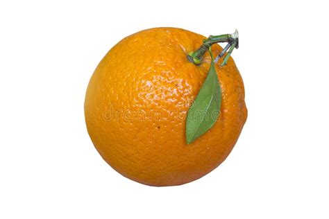 Orange Fruit Isolated On White Background Fresh Orange Amazing Orange