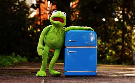 Kermit 17266321920 — Emprendedor Extremo