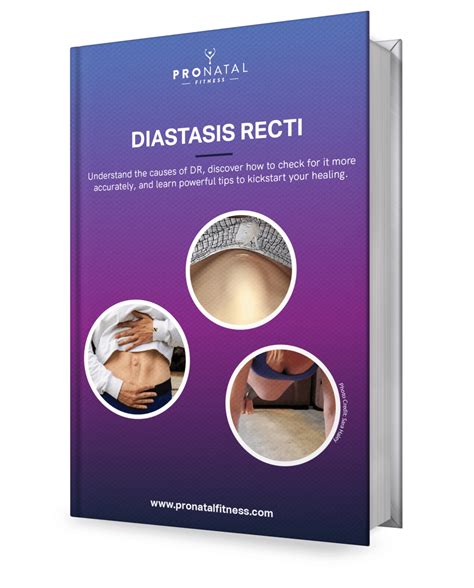 Diastasis Recti What You Need To Know Pronatal Fitness