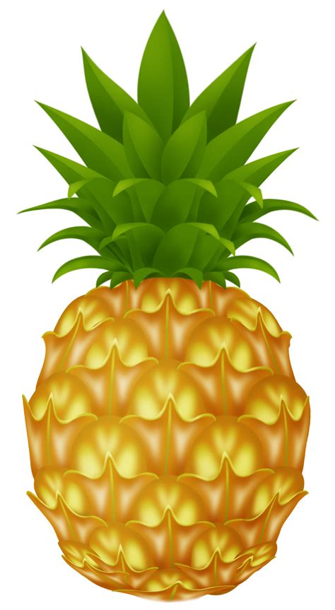 Pineapple Clipart Png Clip Art Library