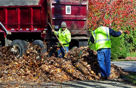 Citywide Leaf Pickup To Begin Monday Nov 20 News