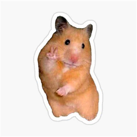 Peace Sign Hamster Sticker For Sale By Linh793 Redbubble