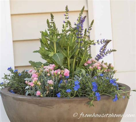 Feed container plants at least twice a month with liquid fertilizer, following the instructions on the plants in containers need the best possible soil, aeration, and drainage for healthy root growth and. Planting Containers: The No-Fail Method For Making ...