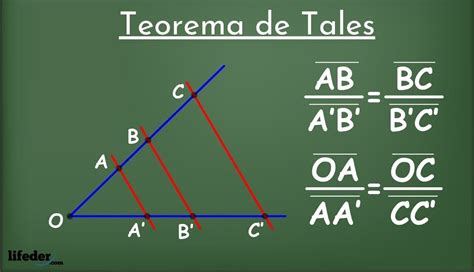 Teorema De Tales De Mileto Explicación Primero Segundo Y Ejemplos