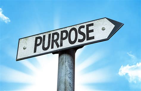 Your Reason For Being Understanding Your Organisations Purpose Dsr