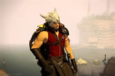 Eorzea Database Strife Vest Final Fantasy Xiv The Lodestone