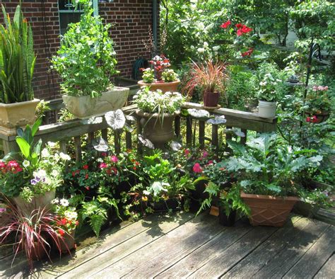 Green up your patio or deck with oversize terracotta, steel, or plastic planters overflowing with anything from tomatoes to wildflowers. randuwa: The Madness, No The Joy Of Container Gardening