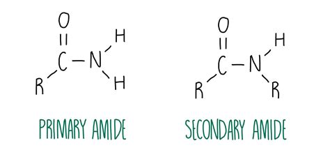 Amines Amides And Amino Acids — The Science Hive