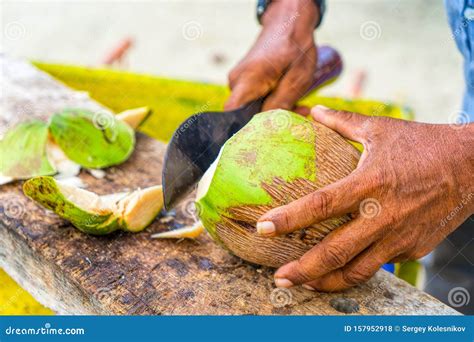 Coconut Seller Close Up Of Man Cutting A Coconut With A Big Ind Stock