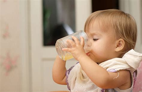 When Do Babies Start Drinking Juice And Water Baby Viewer
