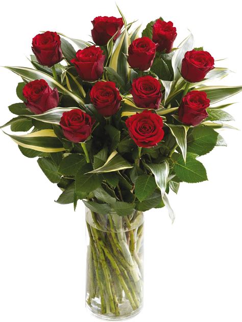 Juliane Olsen Send Flowers For Valentines Day Uk The Best Flowers