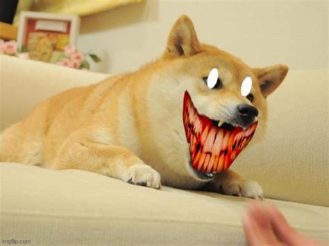 Angry Doge Memes Imgflip