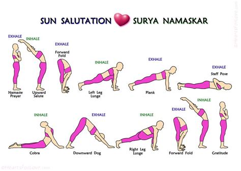 Inhale to extend, and exhale to bend. The 12 Steps of Surya Namaskar or Sun Salutation, Yoga ...