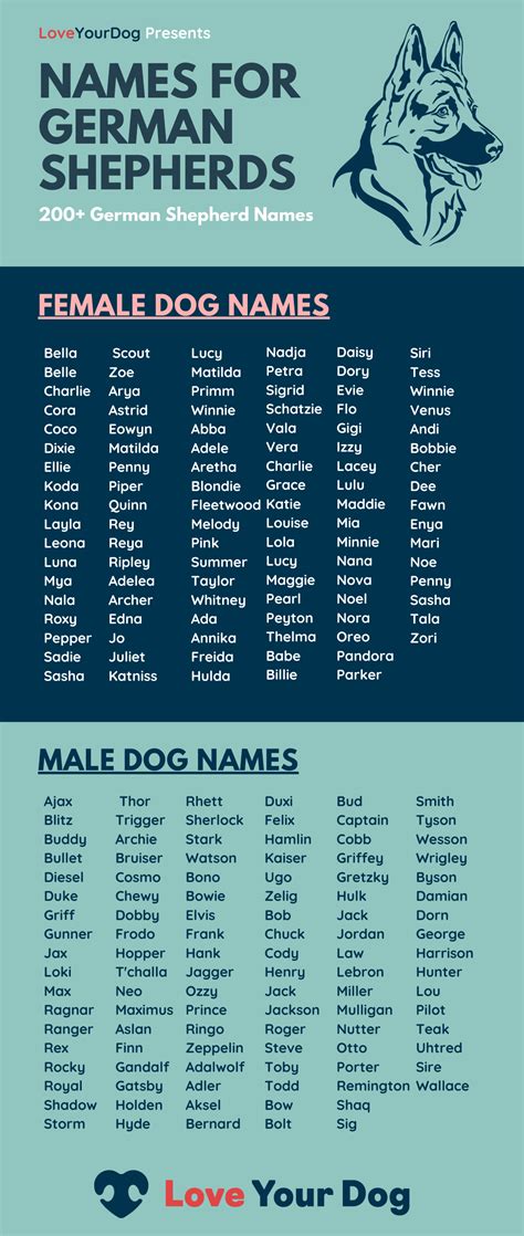 29 Names For German Shepherd Female Puppies Usbleumoonproductions