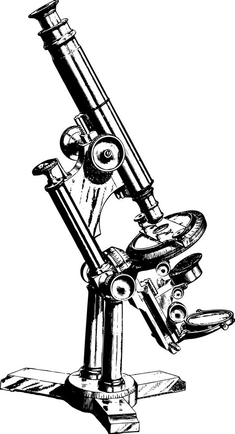 Binocular Microscope Drawing At Getdrawings Free Download